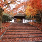 安楽寺の紅葉