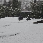 城南宮の雪景色