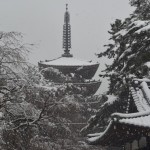 醍醐寺の雪景色