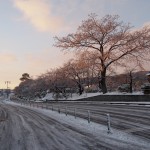 長岡天満宮の雪景色