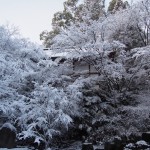 長岡天満宮の雪景色