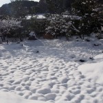 宝厳院の雪景色