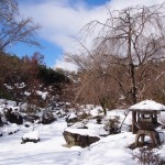 宝筐院の雪景色