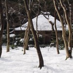 祇王寺の雪景色