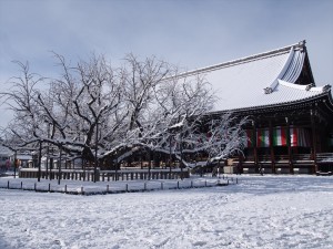 西本願寺　1月