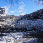 永観堂の雪景色