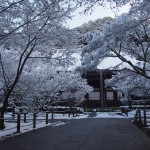 永観堂の雪景色