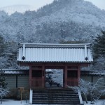 雪の仁和寺