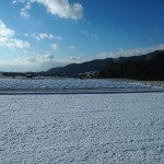 嵯峨野　雪景色