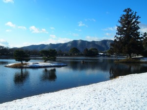 大覚寺　大沢池の雪景色
