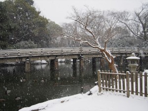 京都御苑　高倉橋