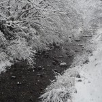 大原の雪景色　2月9日