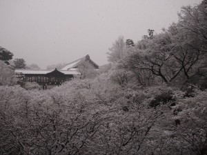 東福寺　通天橋の雪景色