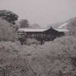 東福寺　通天橋の雪景色
