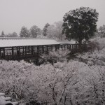 雪の東福寺　通天台からの通天橋