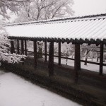 東福寺　通天橋からの雪景色