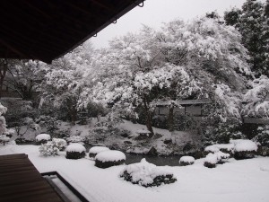 泉涌寺　御座所庭園の雪景色