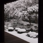泉涌寺　御座所庭園の雪景色