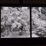 雲龍院の雪景色