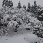 雲龍院の雪景色