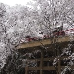 今熊野観音寺の雪景色