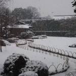 城南宮の雪景色