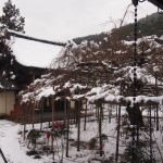 毘沙門堂の雪景色