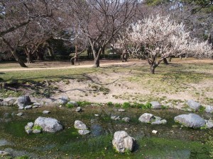 京都御苑　出水の小川