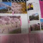 月刊京都　2016年4月号