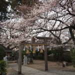 柊神社　3月29日