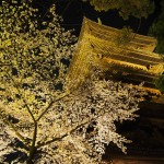 東寺　ライトアップ