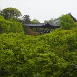 東福寺の新緑