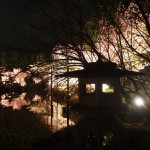 平安神宮　ライトアップ