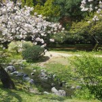 京都御苑　出水の小川