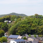 姫路城の西の丸から見る男山