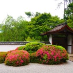 サツキ咲く正伝寺