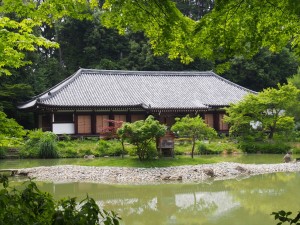 浄瑠璃寺