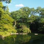 京都御苑　九条池