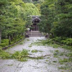 台風21号の被害　大谷祖廟