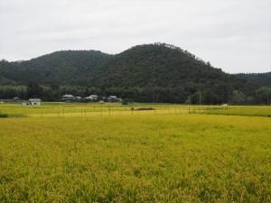 嵯峨野の田園風景