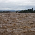 激しく増水した桂川