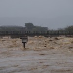 激しく増水した桂川と渡月橋