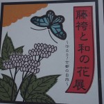 梅小路公園　藤袴と和の花展