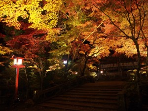 鍬山神社　ライトアップ