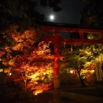 鍬山神社　ライトアップ