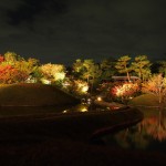 梅小路公園　朱雀の庭　ライトアップ
