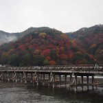 嵐山　11月29日