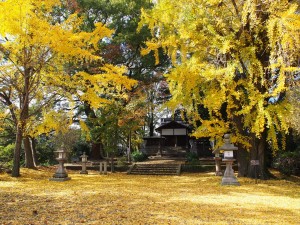 三栖神社