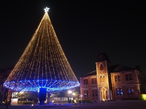 同志社大学のクリスマスツリー
