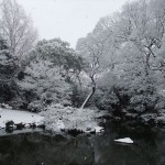雪の京都御苑　九条池